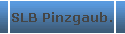 SLB Pinzgaub.