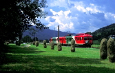 k-002 bei Guggenbach- Pulverwerksiedlung 02.08.1999 foto herber