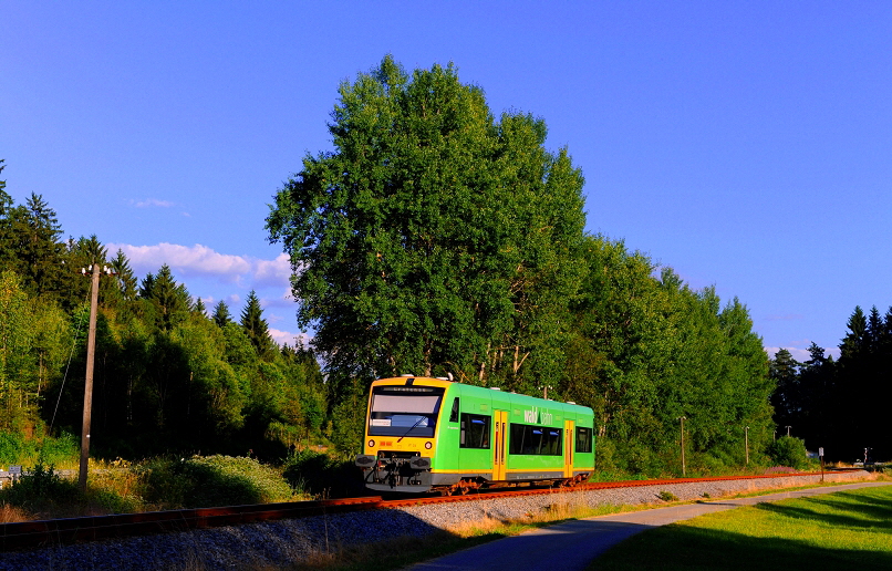 k-003. bei Zwieselau 22.07.2013 hr