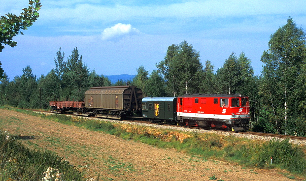 k-WV009 Gterzug bei zw. Dietmanns und Ehrendorf 21.08.1998 209