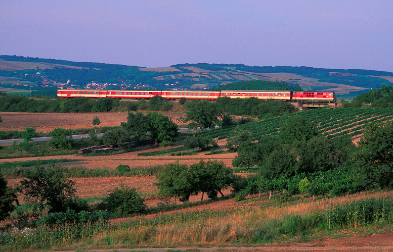 k-001. bei Enzersdorf bei Staatz 09.08.1999 hr 