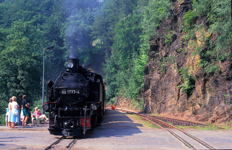 k-002. WTB im Rabnemauer Grund 14.09.1991 hr 