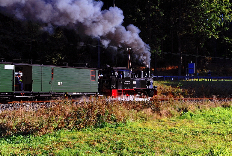 k-036. bei Wildbach 29.09.2018 hr x