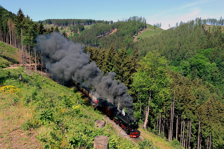 k-1004 Harzquerbahn Thumkuhlental 02.06.2011 hr