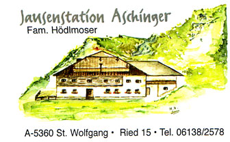 www.stwolfgang.at_sitesaschinger